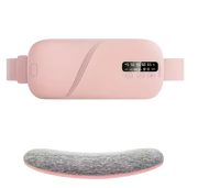 Rechargeable Electric Heating Pad